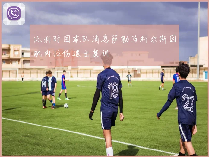 比利时国家队消息萨勒马科尔斯因肌肉拉伤退出集训