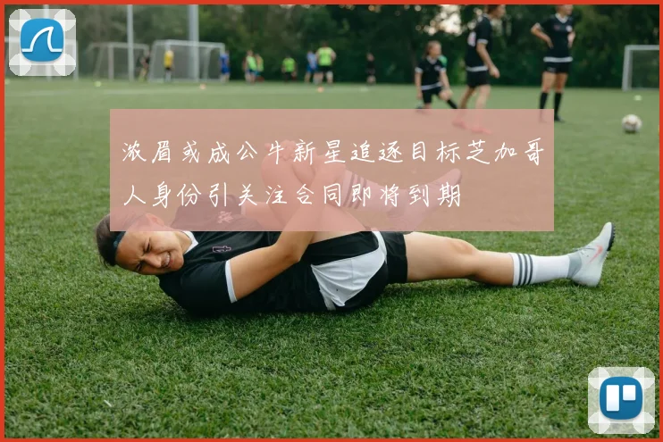 浓眉或成公牛新星追逐目标芝加哥人身份引关注合同即将到期